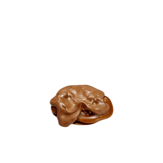 Chocolate Turtle - Box 5 pieces