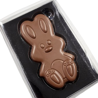 Chocolate bunny in a clear box on a white background